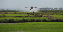 agrotoxins
